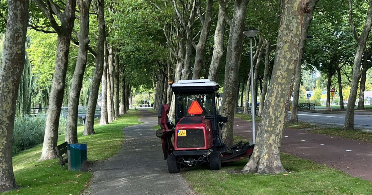 Na Regen Komt Groen Gras